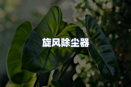 旋风除尘器