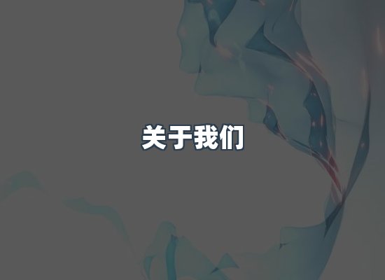关于我们